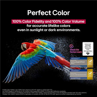 LG 97" Wireless OLED evo 4K Smart TV